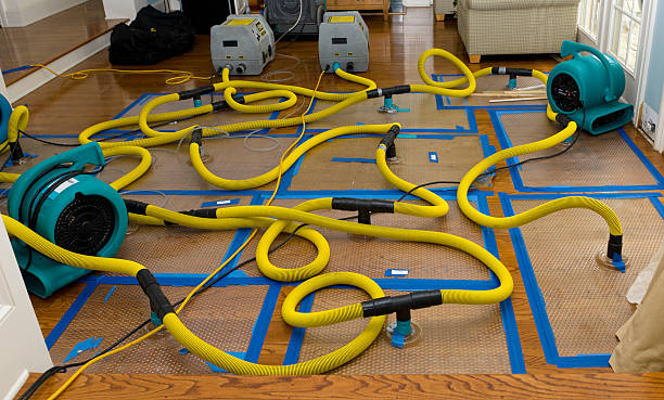 Professional Crawl Space Water Removal technician working in Woronoco, MA
